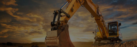 Development